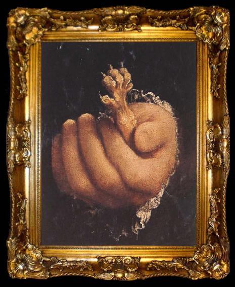 framed  Lorenzo Lotto Man with a Golden Paw (mk45), ta009-2